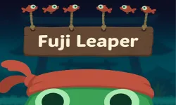 Fuji Leapers image