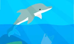 Dolphin Life image