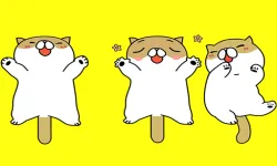 Tickling Cat image