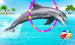 image bg Dolphin Water Stunts Show
