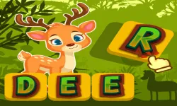 image bg Animals Words 2022