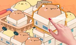 image bg Mart Puzzle Box Cat