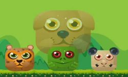 Animal Match Master image