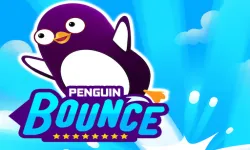 Mr BounceMaster image