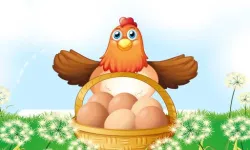 Egg Collector image