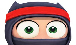 Life and death ninja image